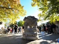 北京：金彩五塔寺
