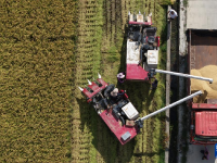 全国秋粮收获过五成
