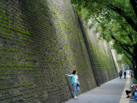 西安城墙：“苔痕上阶绿”
