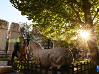 北京：金彩五塔寺
