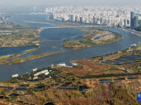 哈尔滨湿地秋韵美
