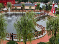 山东青岛：盘活闲置土地 助力乡村振兴
