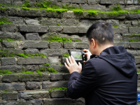 西安城墙：“苔痕上阶绿”
