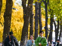 京城秋深韵悠长
