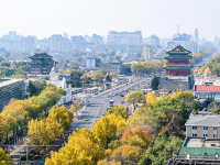 京城秋深韵悠长
