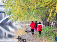 初冬园博园，周末好时光
