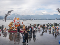 “春城”昆明冬赏鸥
