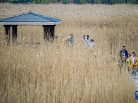 初冬园博园，周末好时光
