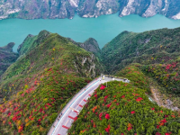 红叶扮靓长江巫峡
