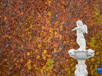 初冬园博园，周末好时光
