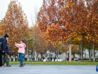 初冬园博园，周末好时光
