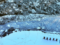 黑龙江现“跑冰排”壮景
