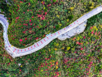 红叶扮靓长江巫峡
