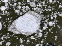 黑龙江现“跑冰排”壮景
