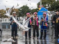 “春城”昆明冬赏鸥

