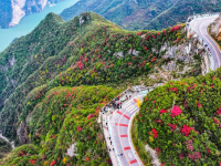 红叶扮靓长江巫峡
