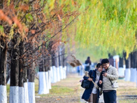 初冬园博园，周末好时光
