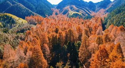 刷屏！邵阳的 “金色密码”，藏不住了