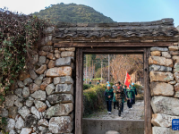 赤溪村的乡村振兴新气象
