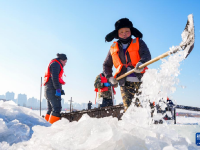 哈尔滨：采冰江上
