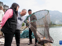 赤溪村的乡村振兴新气象
