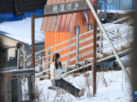 百年小镇横道河子
