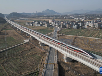 杭衢高铁开通运营
