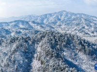 杭州临安：雪后初晴 银装素裹
