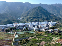 赤溪村的乡村振兴新气象
