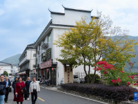 赤溪村的乡村振兴新气象
