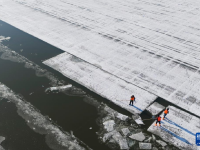 哈尔滨：采冰江上
