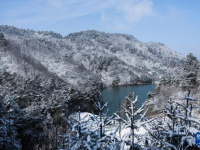 杭州临安：雪后初晴 银装素裹
