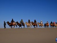 甘肃敦煌：冬春旅游优惠政策开始执行
