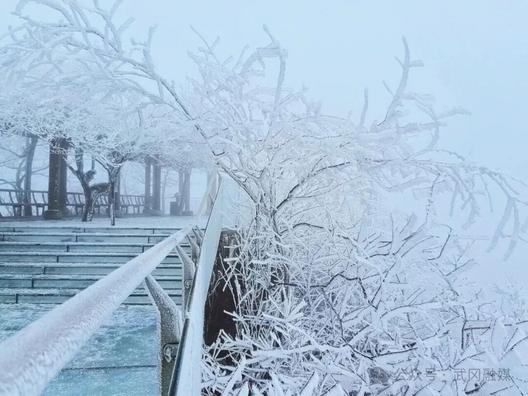 太美了！邵阳今年首场雾凇景观上线→