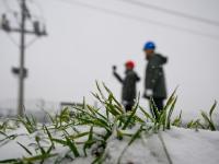 各地积极应对寒潮天气
