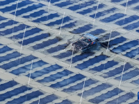 江苏连云港：“海上菜园”冬收忙
