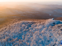 黑龙江七星山国家森林公园现雾凇景观
