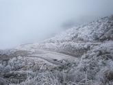 城步：南山迎来雾凇盛景 琼枝玉树如诗如画