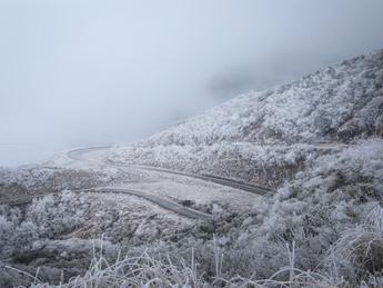 城步：南山迎来雾凇盛景 琼枝玉树如诗如画