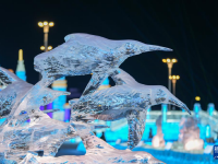 璀璨冰雕闪耀哈尔滨冰雪大世界

