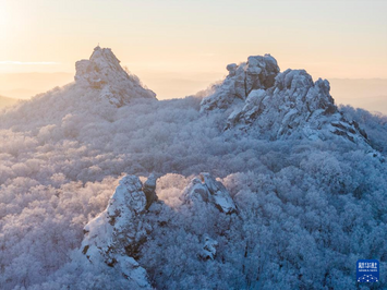 黑龙江七星山国家森林公园现雾凇景观