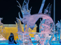 璀璨冰雕闪耀哈尔滨冰雪大世界
