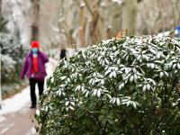 山东济南迎来今年首场降雪
