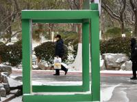 山东济南迎来今年首场降雪
