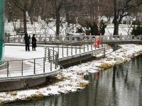 山东济南迎来今年首场降雪

