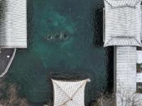 山东济南迎来今年首场降雪
