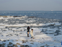 河北秦皇岛：海冰引客来
