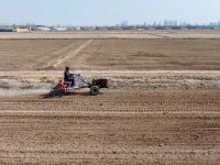 宁夏贺兰：人勤春来早 小麦播种忙
