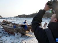 河北秦皇岛：海冰引客来
