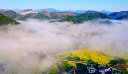 新宁：邂逅崀山赏花海 丹霞“金浪”醉游人  